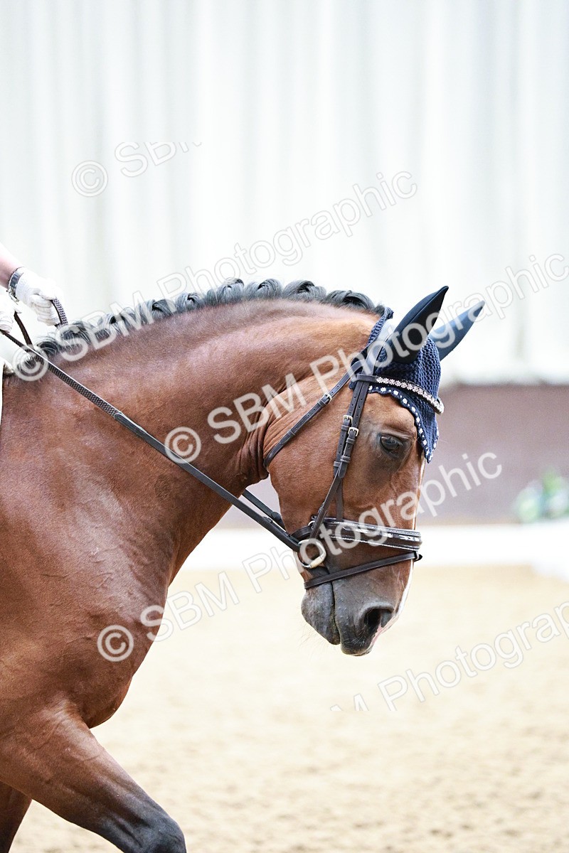 SBM_005221 - Class 14 - Novice FSM - 12.17-13,21