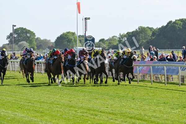 140525-Race 5-Rare Change-2702 - Race 5 4.18pm Conundrum HR Consulting Handicap