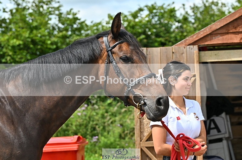 240718A-105250-01220 - Trot Up 12pm to 1pm