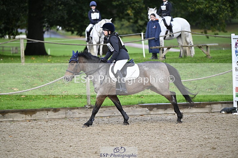 251005A-085632-02897 - Cls 02 GR 50cm