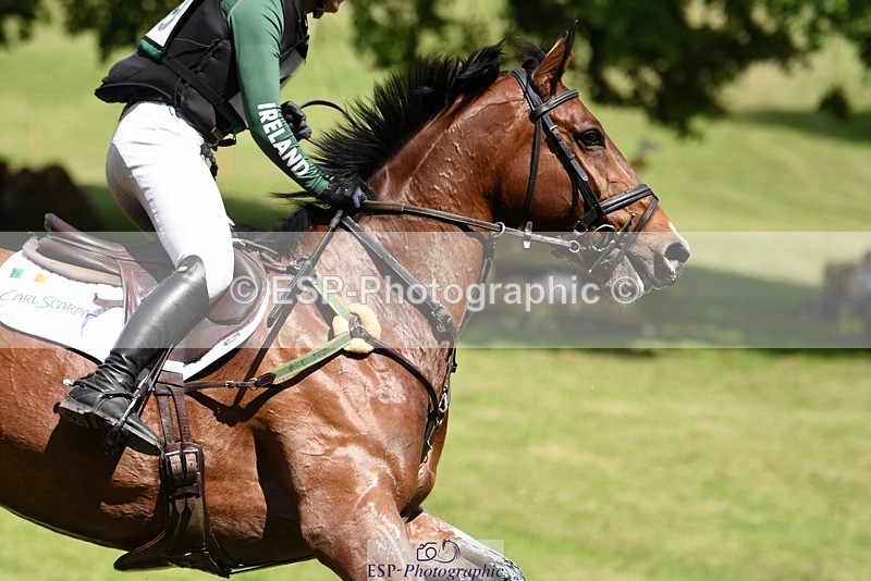 230528-140052-17919 - 469-WELLFIELDS_LINCOLN-Susie_Berry-XC