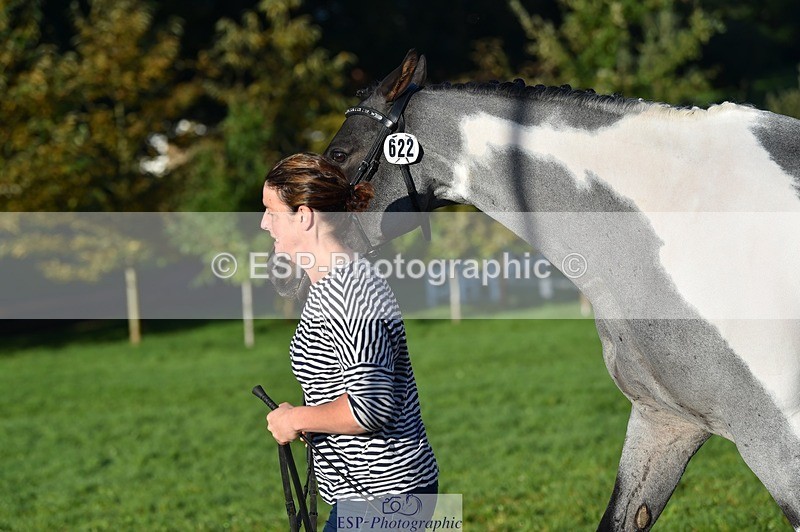 231022-092222-21740 - 622-CRAFTY.WIZARD-Heather.Urquhart-TrotUp+SJ