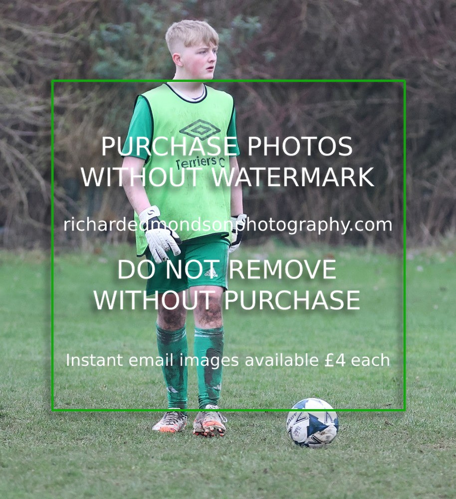 533A6599 - Lonsdale Terriers