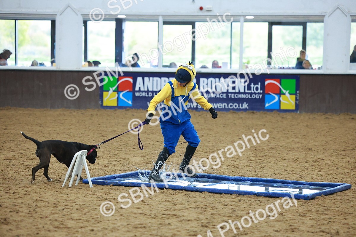 SBM_002252 - Class 3 - Horse & Hound (60cm)