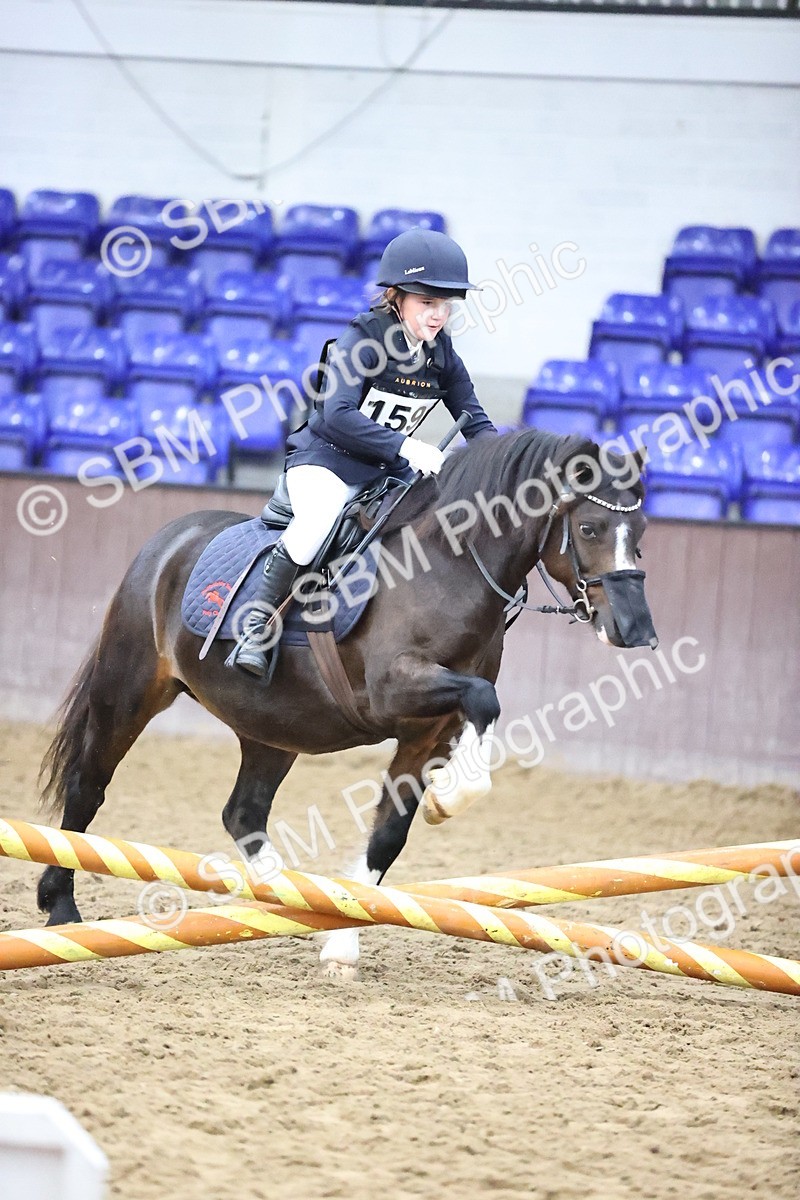 SBM_000137 - Class 2 - The Rug Lady 40cm Area 12 Championship Qualifier