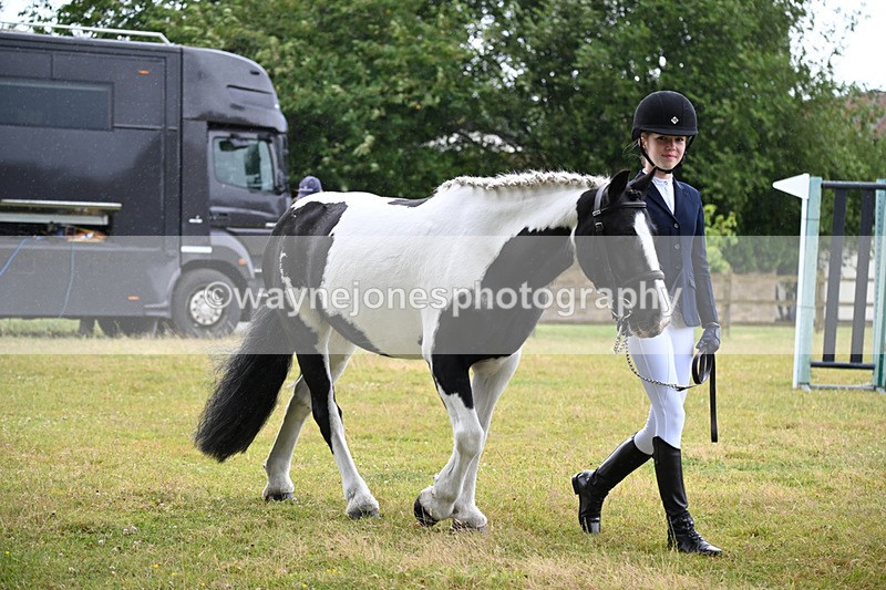 WJ6_8697 - Class 10 Coloured in-hand