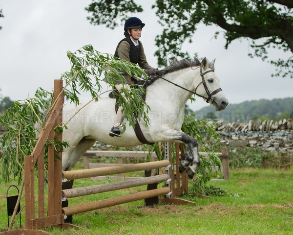 Dunblane show-433 - Dunblane and Doune Show Ring 1
