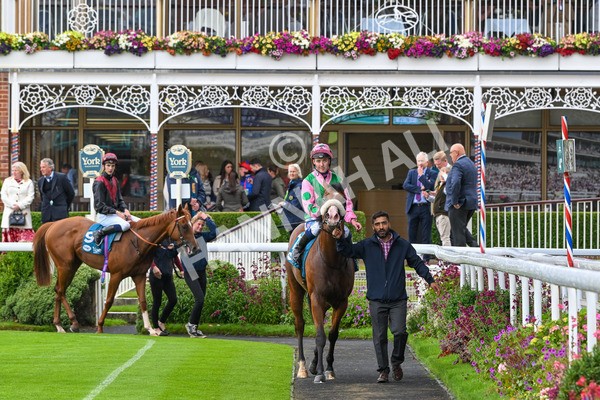 130724-Race 5-East Tyrone-7609 - Race 5 4.15pm John Smith's Nursery Handicap