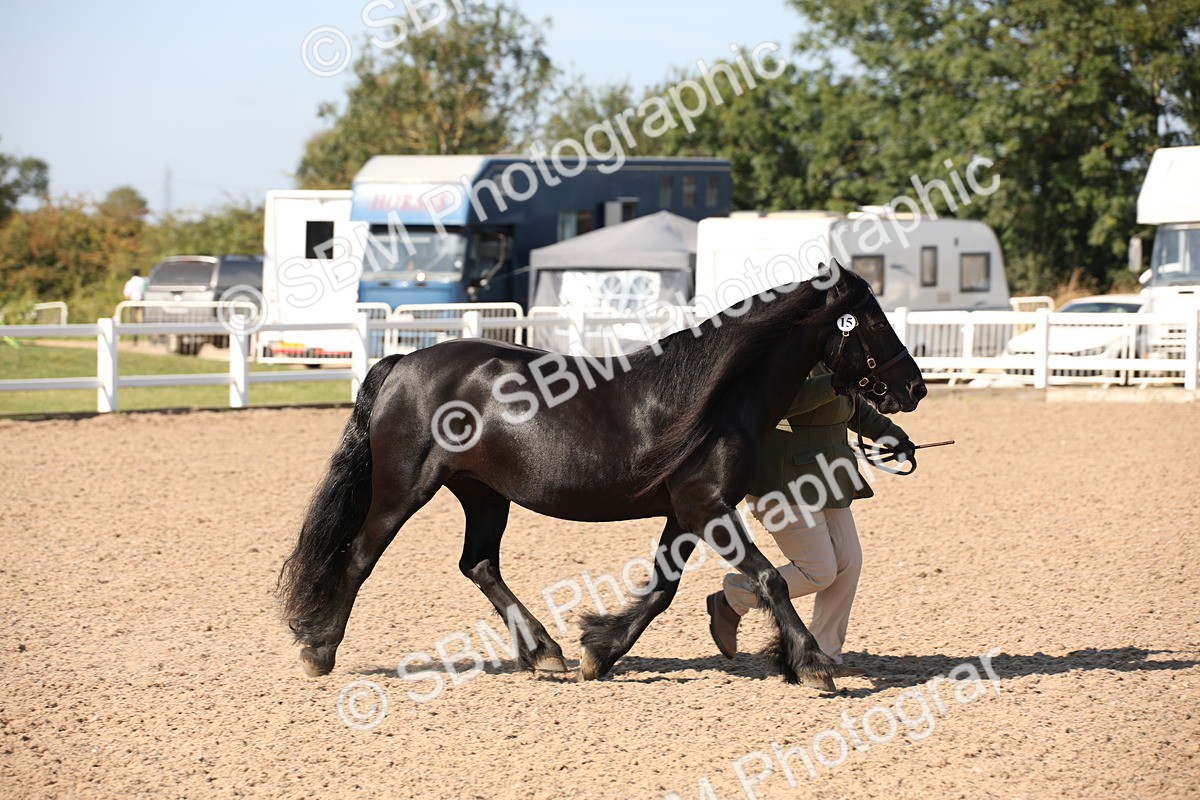 SBM_02677 - Class 16 IH M&M Wildcard