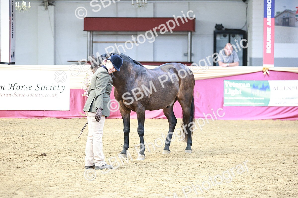 SBM_04778 - Class 7R - Regional IH Diamond