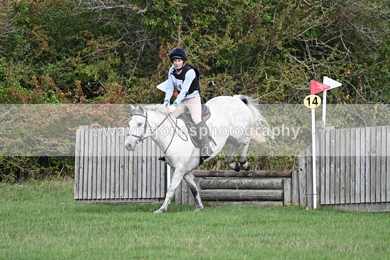 WJ7_8384 - 60cm Pairs