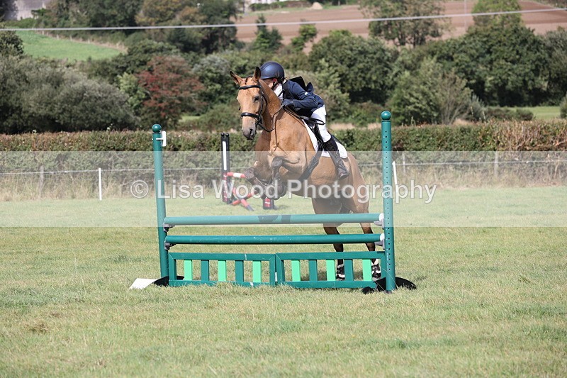 JPP_9021 - Class 3: Nankelly Open: 90cm Showjumping