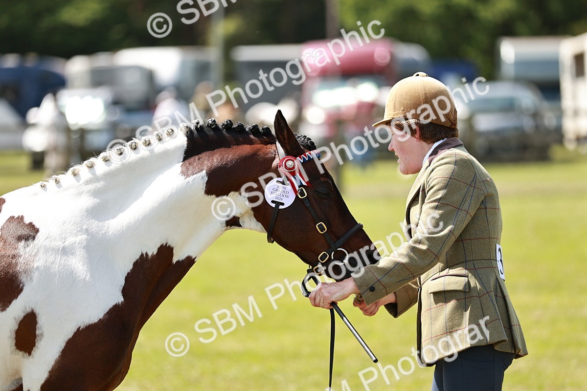 SBM_05454 - Class 39-40 - BSPA Coloured In Hand