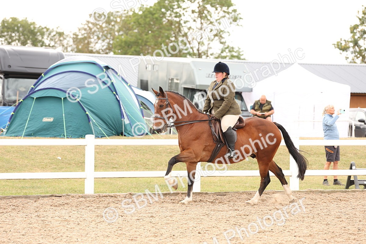 SBM_16500 - Class 212 - Ridden Hunter - Small