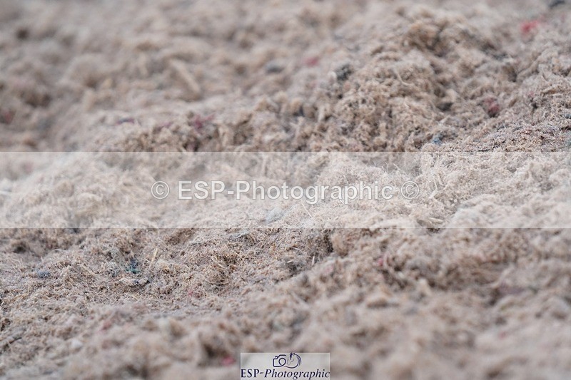 250621-084032-05474 - Quest Cls 1-5, Intro All