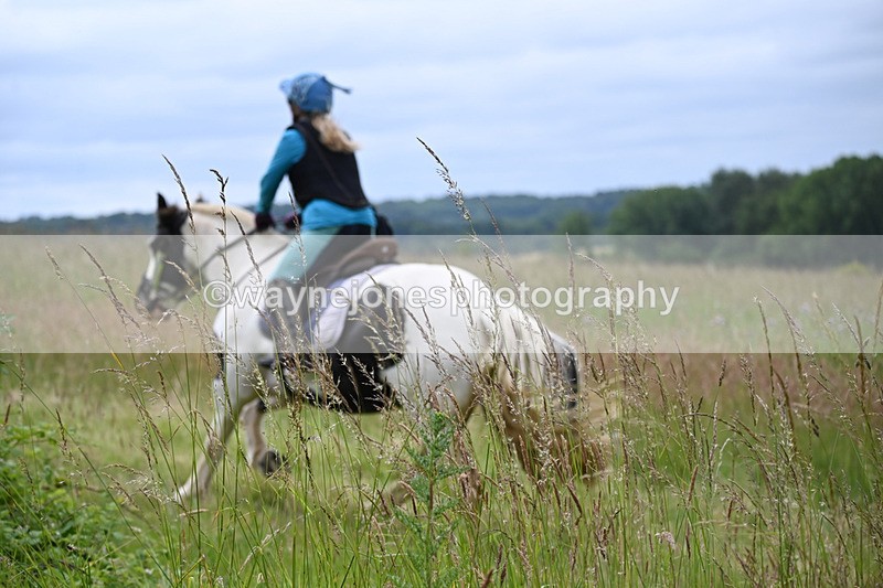 WJ6_8156 - Camera 1 Gallops
