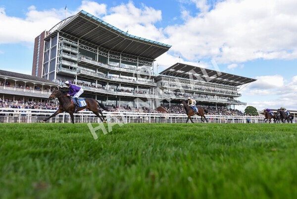yr12052022r6-23 - Race 6 4.45pm Frank Whittle Partnership EBFstallions.com Maiden Stakes