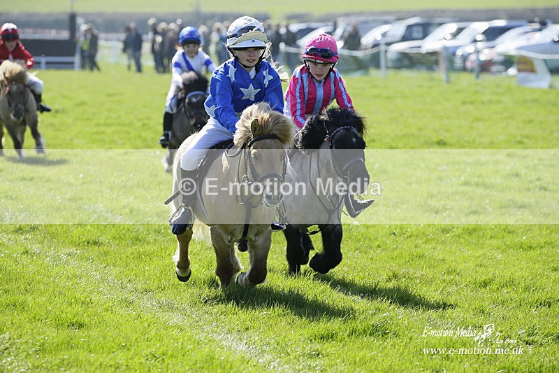 PtP 190322 15 - Wilton Hunt PtP Milborne St Andrew 19/03/22
