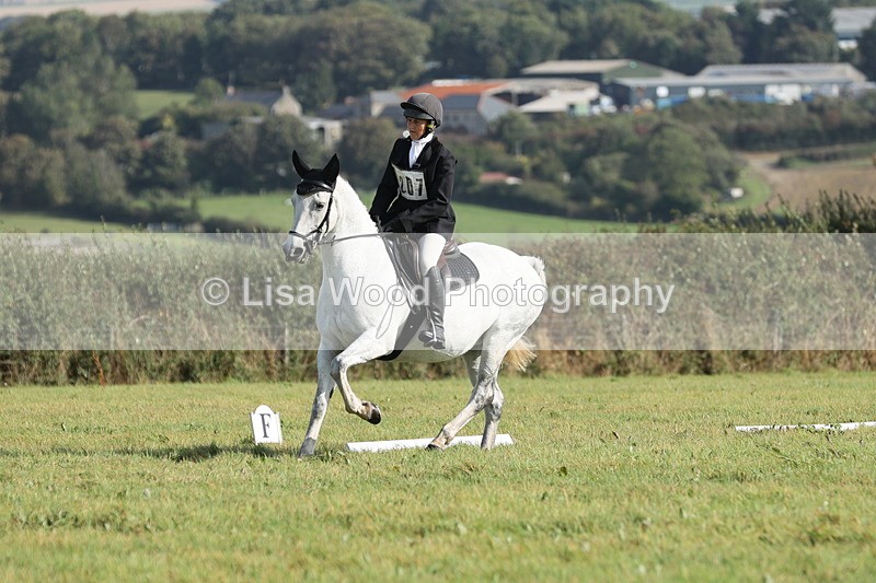 JPP_8081 - Class 2A: Trekenning Open: Dressage