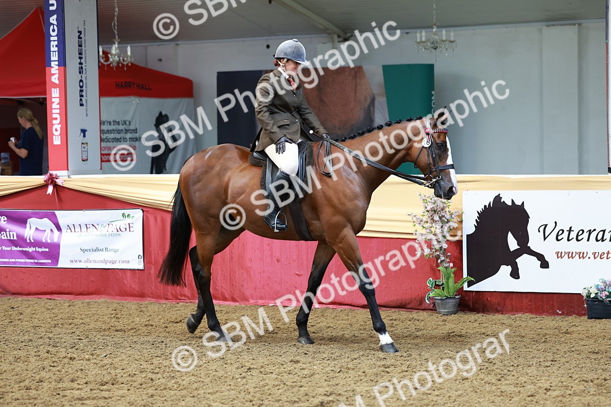 SBM_14875 - Class 108 - Ridden Retired Racehorse