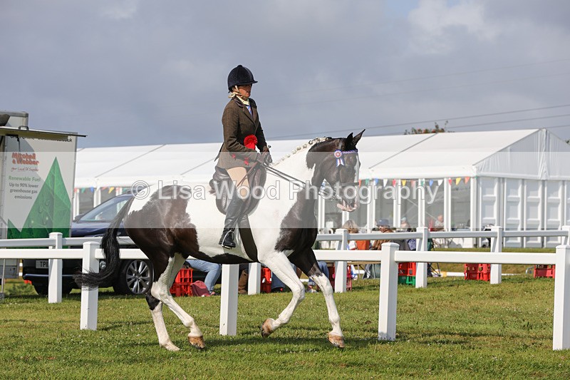 1X9A3506 - Skewbald and Piebald Ridden Championship