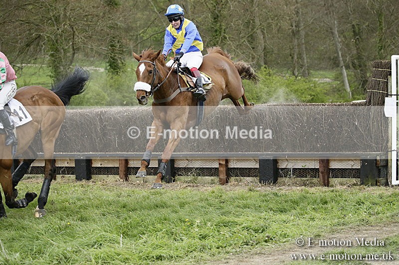 PtP 170417 541 - Old Berks Point-to-Point Lockinge 17/04/17