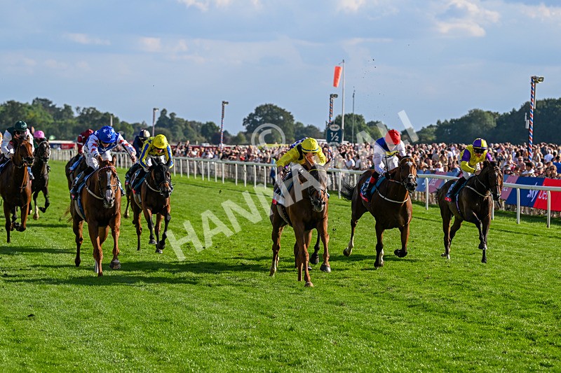 220826-Race 7-Raammee-1865 - Race 7 17.20pm Sky Bet Dav Reid Finale Handicap