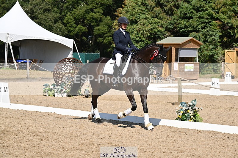 250810A-153306-08152 - Adv Medium SILVER Presentations