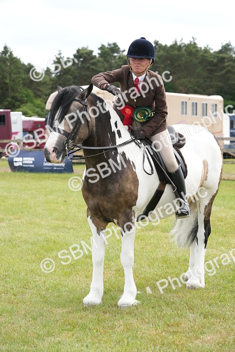 SBM_17339 - Class 107-108 - LIHS BSPS Performance Coloured Horse Pony