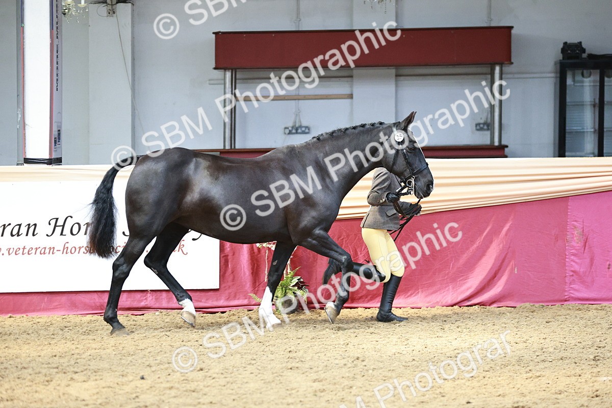 SBM_04753 - Class 7R - Regional IH Diamond