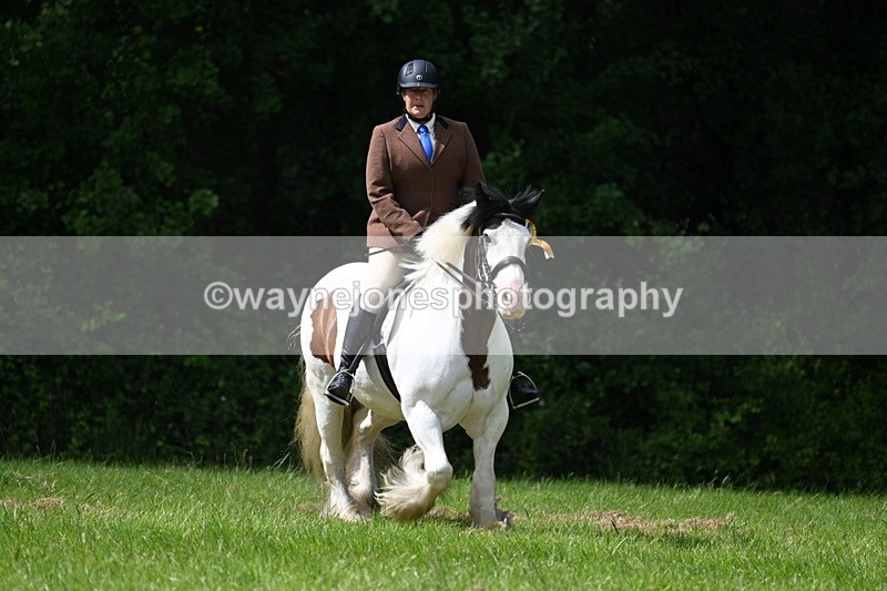 WJ7_1611 - Class 11 Condition & Turnout