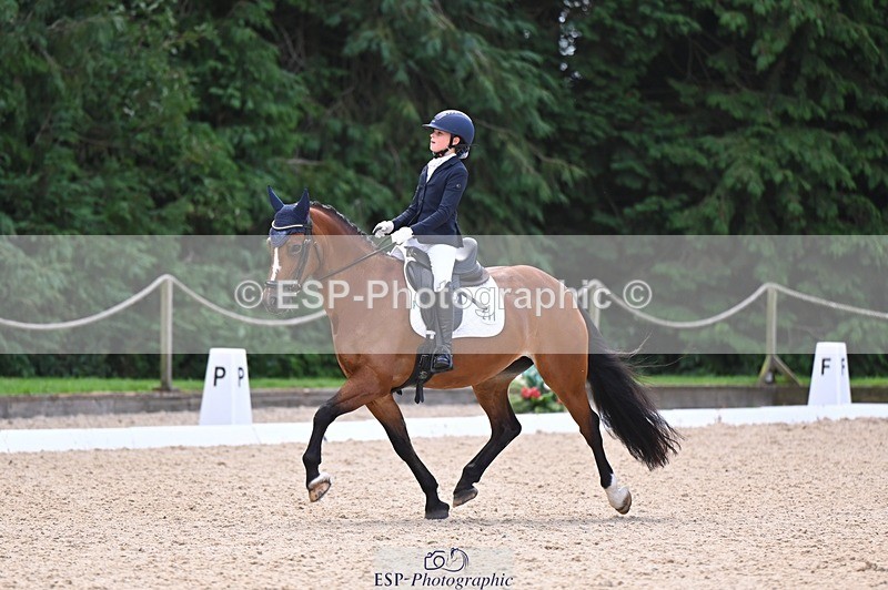 240809-120822-00675 - 211-Amelia.Dovey-Caederwen.Lady.Elinor