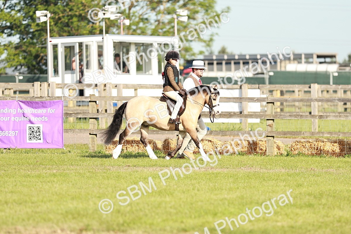 SBM_11032 - Class 106-107 - BSPS LIHS Working Sports Pony