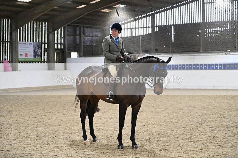 WJ7_4328 - Class 17 Ridden Cob