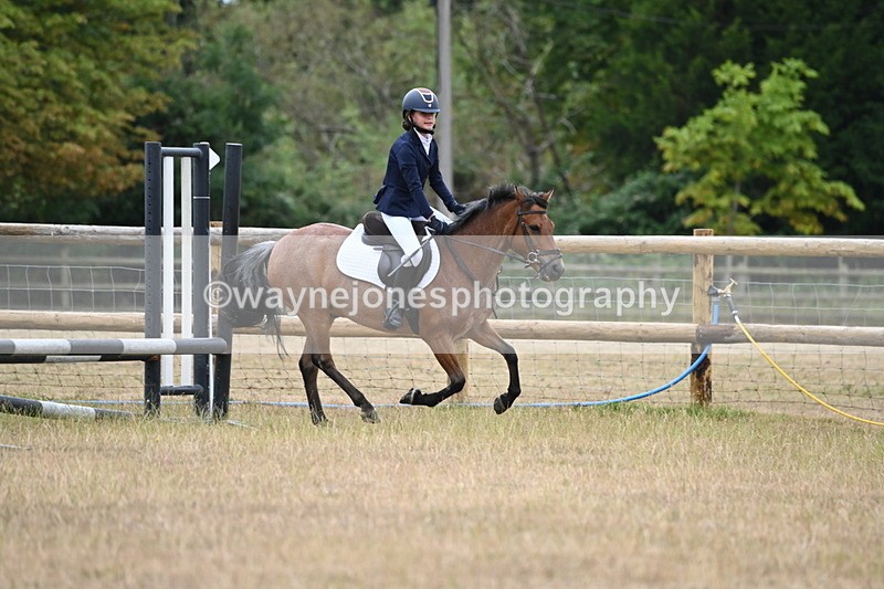 WJ6_0353 - Class 13 Novice Jumping 60cm