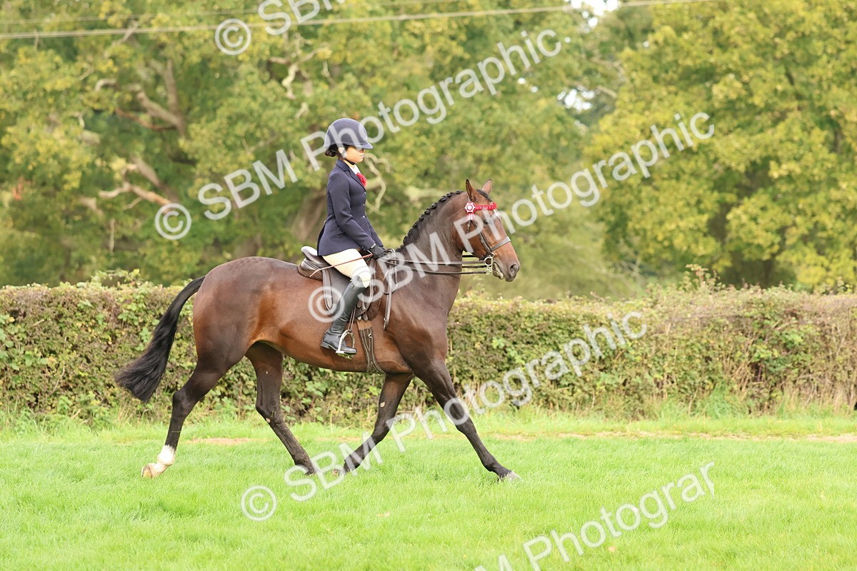 SBM_56689 - S40 - Starters Ridden Showing