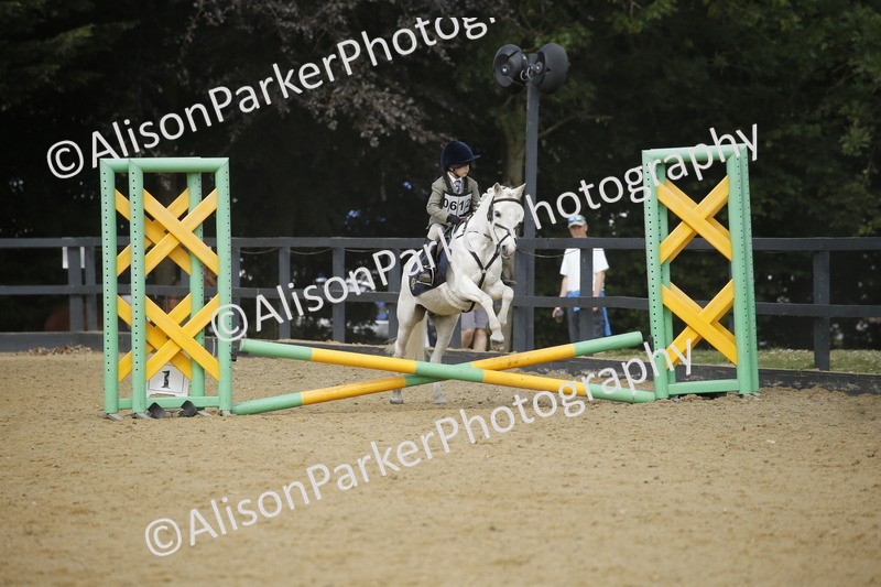 20250622-3733 - 50cm