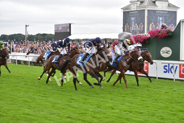 yr18082021r7-26 - Race 7 5.20pm Sky Bet Nursery Handicap