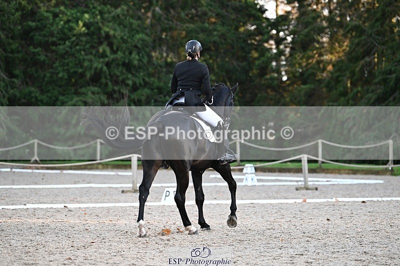 231110-154112-02279 - Cls 11 FEI PSG