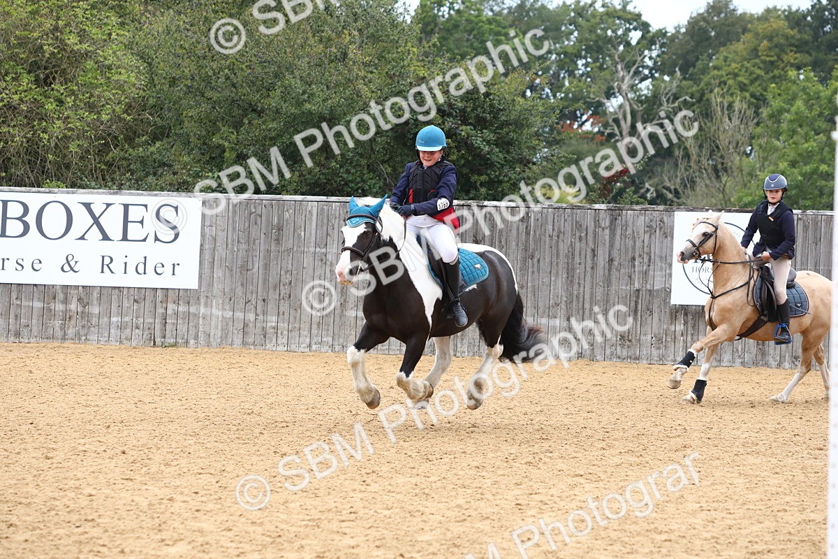 SBM_60181 - J63 - Junior Pony 50cm Championship
