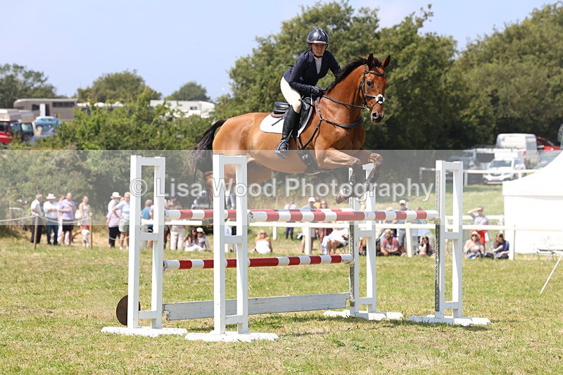 3E7A3338 - Class 10: Senior Foxhunter/1.20 open