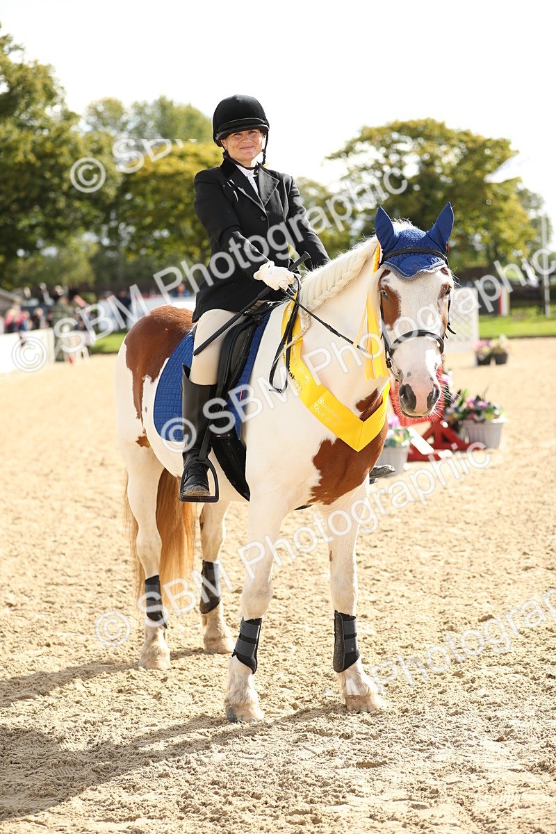 SBM_02036 - J34 - Veteran Rider 50cm