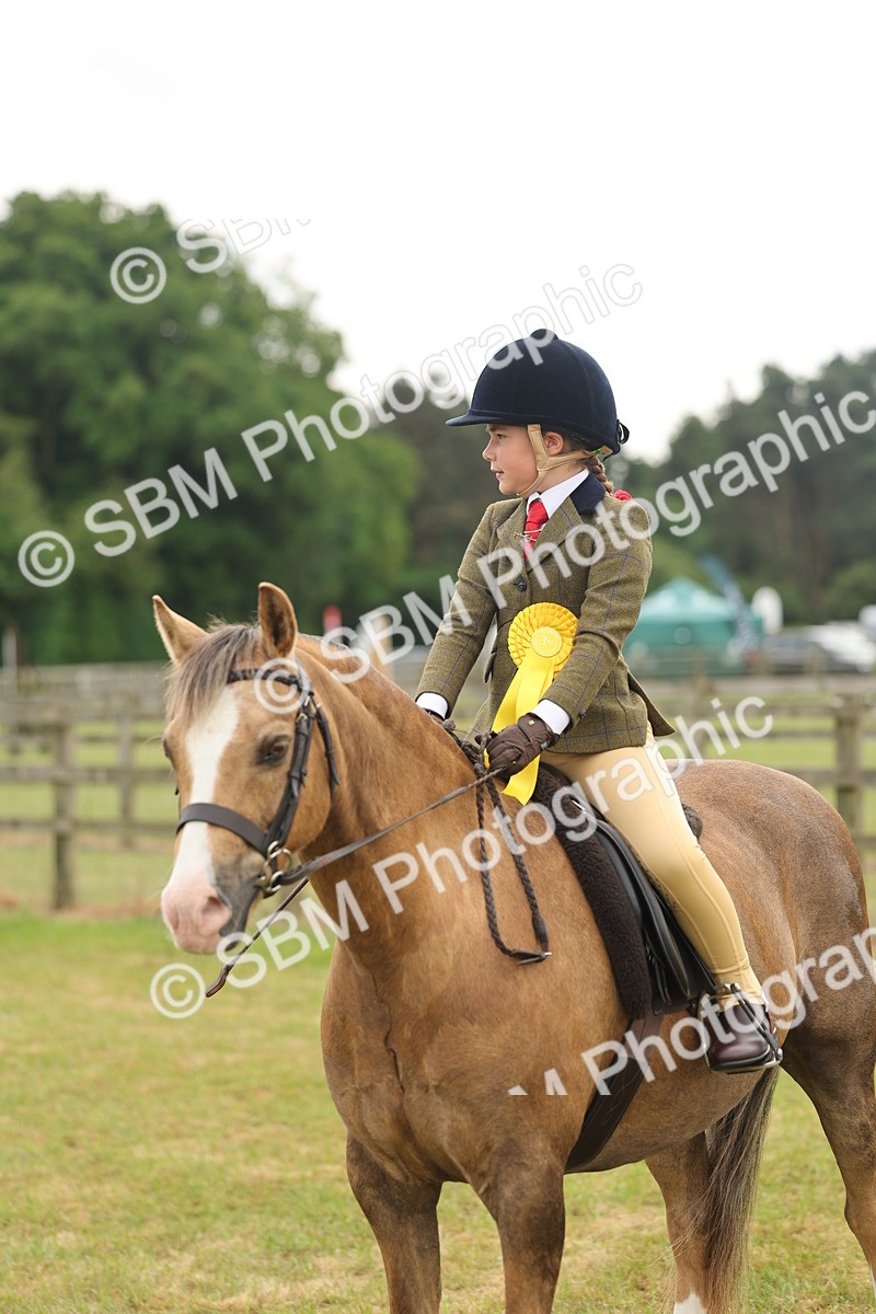 SBM_06911 - Class 74-75 - M&M Lead Rein and First Ridden Pony
