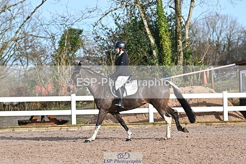 250125-104837-00235 - Dressage - CT Class 4 BE95 (80cm)