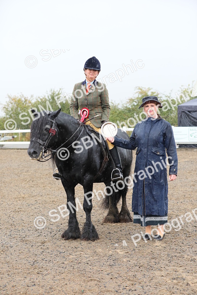 SBM_20623 - Class 804 - Ridden Veteran Pony