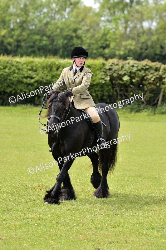 20260426-2368 - Class 21 - Working Hunter Ponies