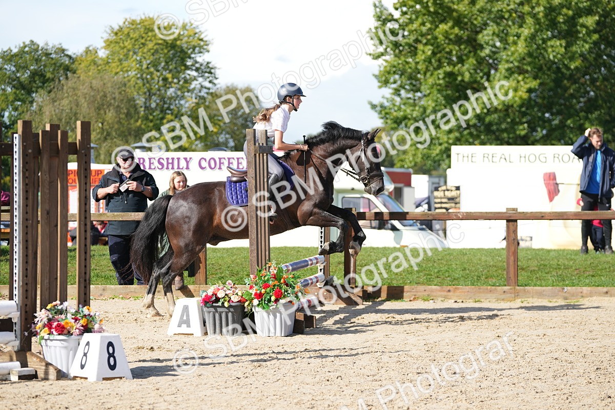 SBM_38208 - J6 - Junior Pony 55cm Championship