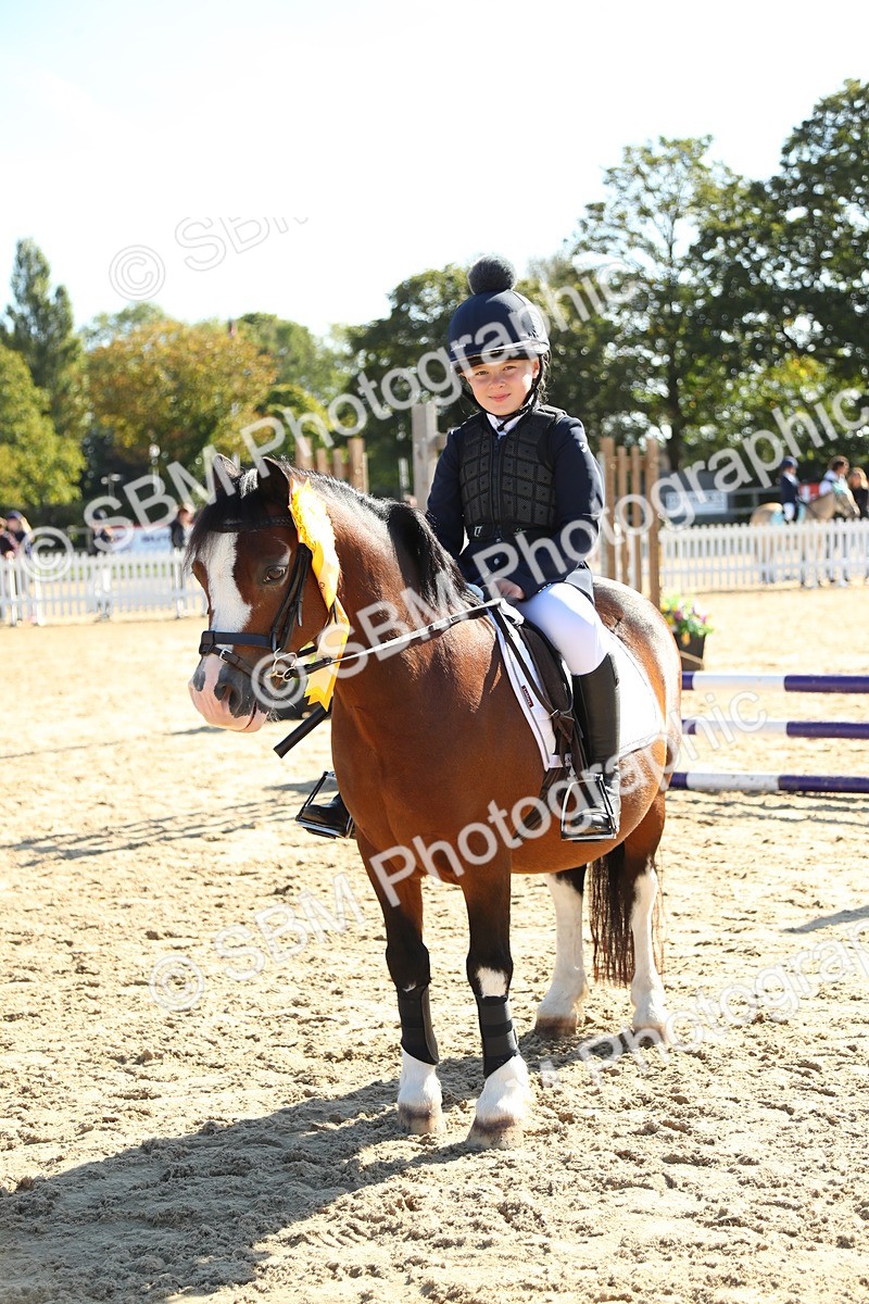 SBM_36040 - J5 - Junior Pony 50cm Championship