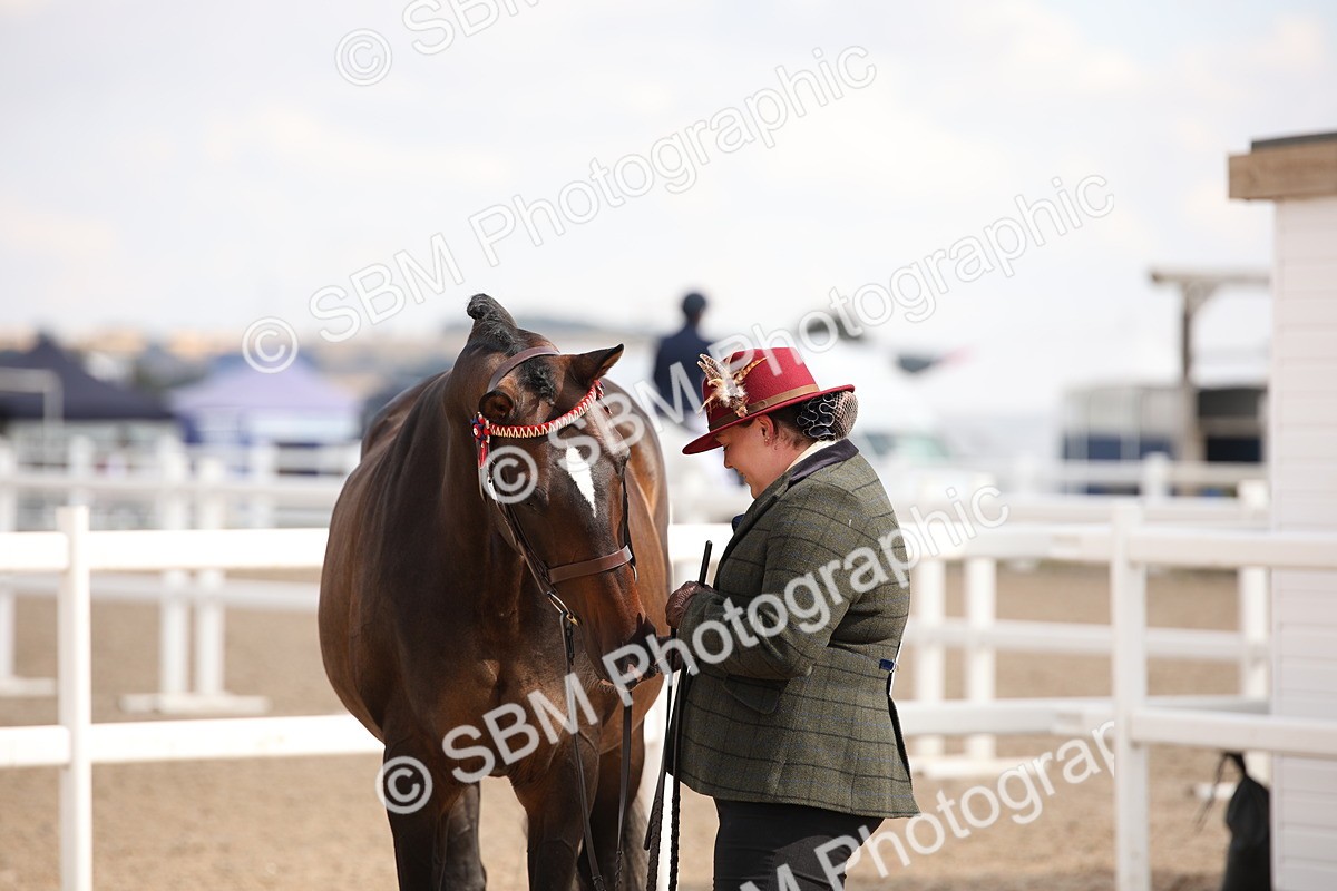 SBM_03778 - Class 19 Judge's Favourite