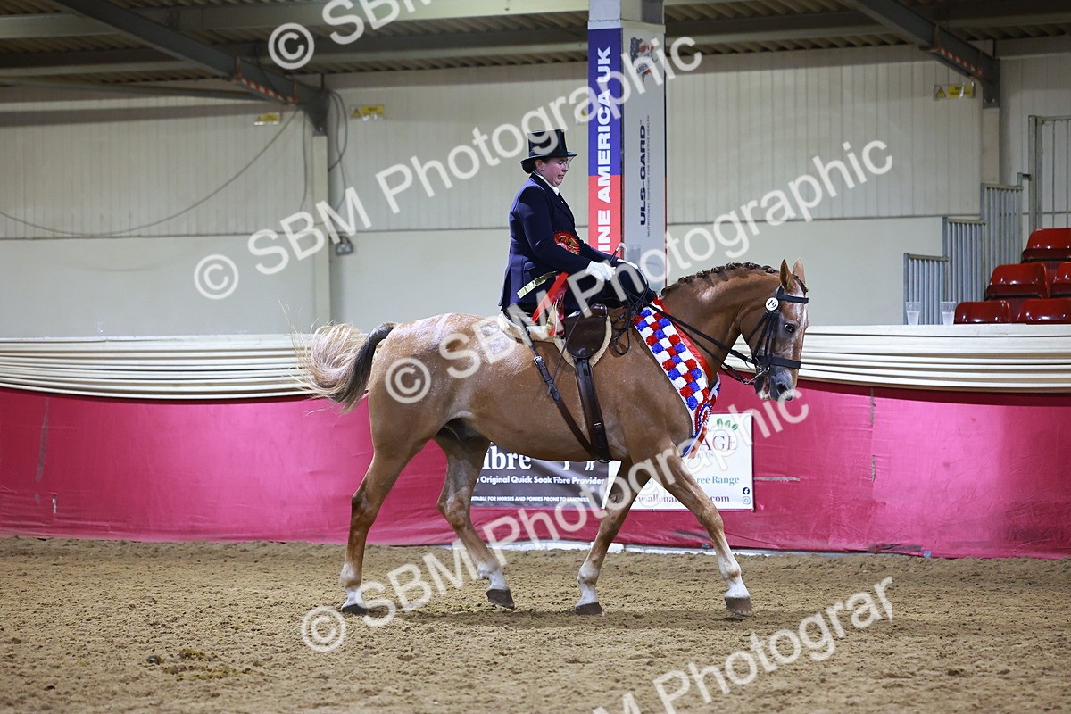 SBM_15757 - Class T - Working Veteran Champ